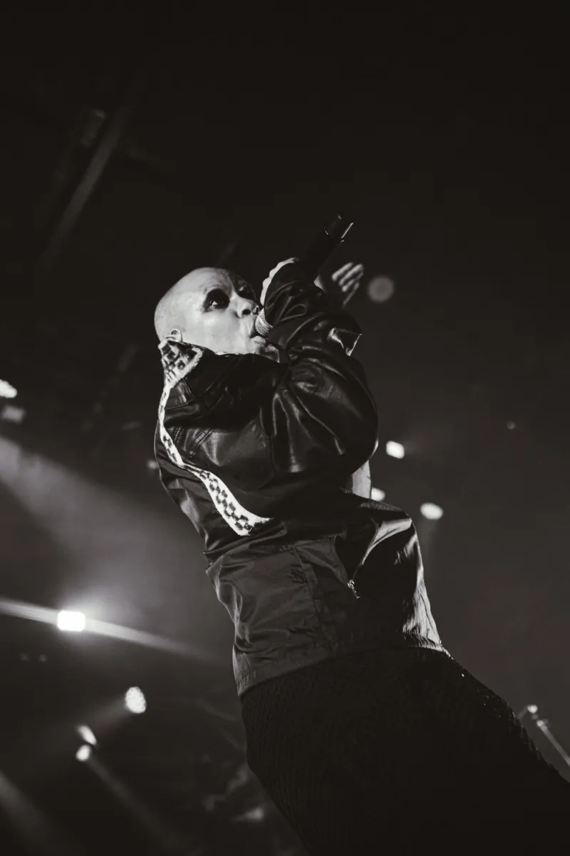 Skunk Anansie