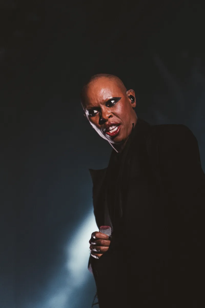 Skunk Anansie