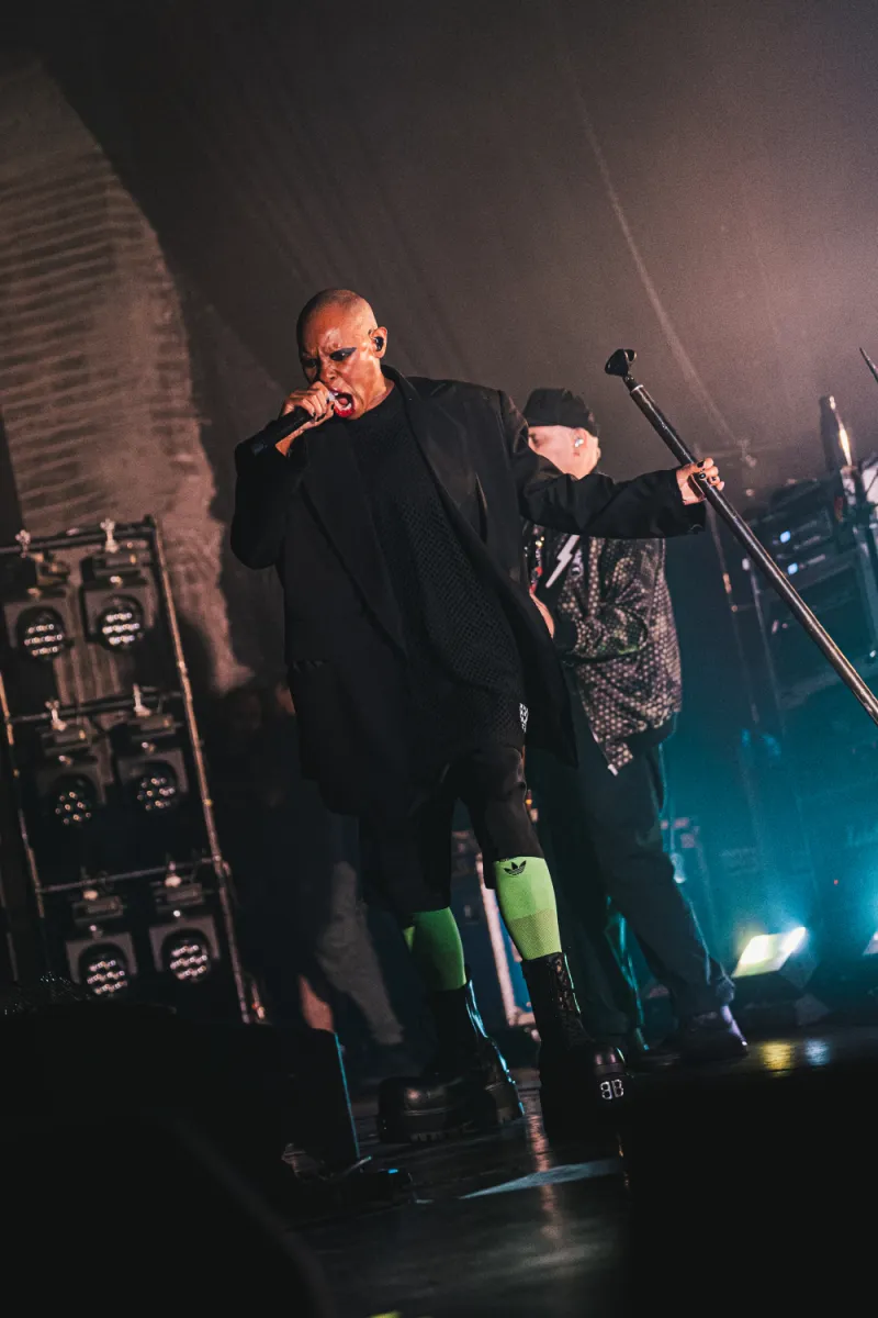 Skunk Anansie