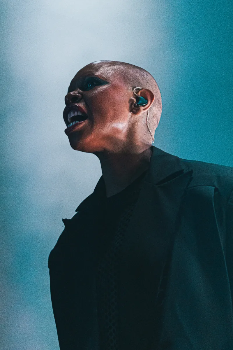 Skunk Anansie
