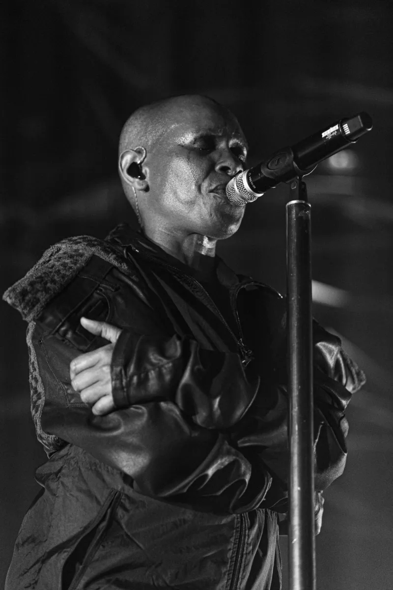 Skunk Anansie